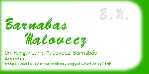 barnabas malovecz business card